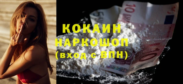 тгк Инсар
