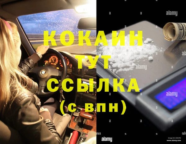 соль курить ск Тайга